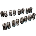 Tomei High Lift Oval Wire Valve Spring Set