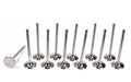 Kelford Ferrea +1mm Exhaust Valve Set of 12 image 1
