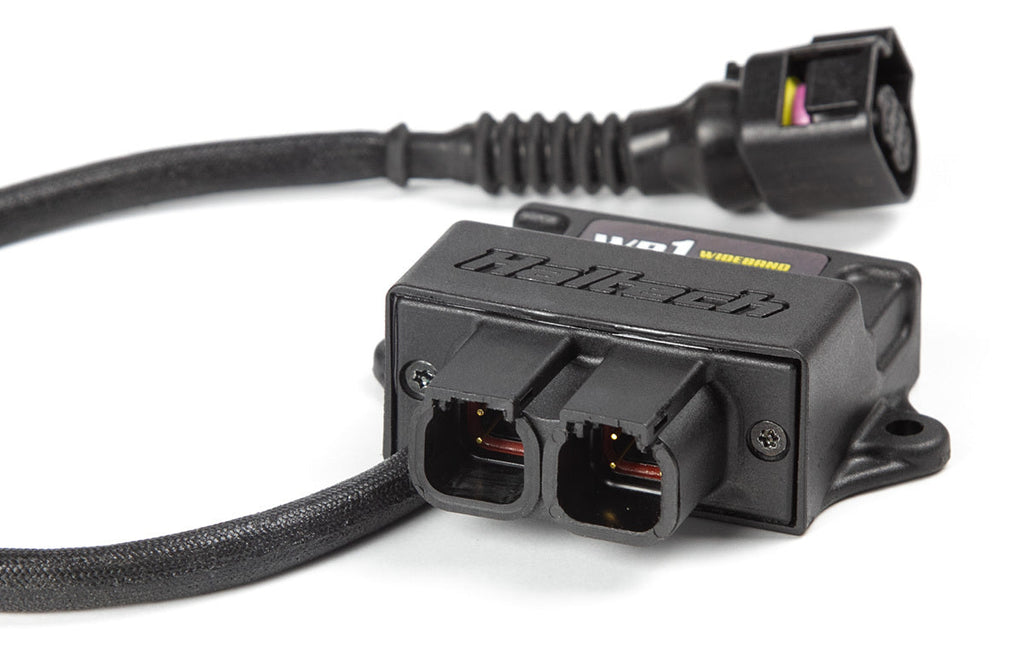 Haltech WB1 Single Channel CAN O2 Wideband Controller Kit image 2