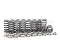 Supertech Valve Spring and Retainer Set - EA113 / EA888 Gen 1/2 - SPRK-A2416-N2