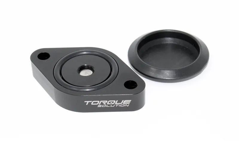 Sound Symposer Delete (Focus ST 2013+) — TS-ST-511
